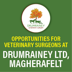 drumrainey 140x140