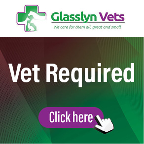 Glassyn Vets oct2024