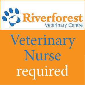 riverforest aug 2025